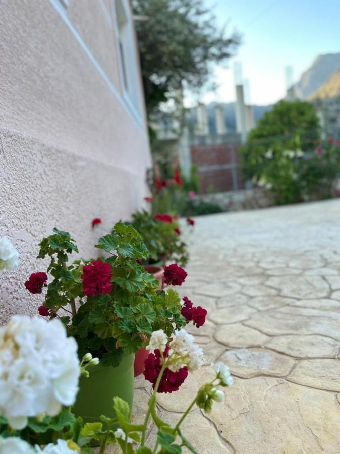 Vila Noga Borş Dış mekan fotoğraf