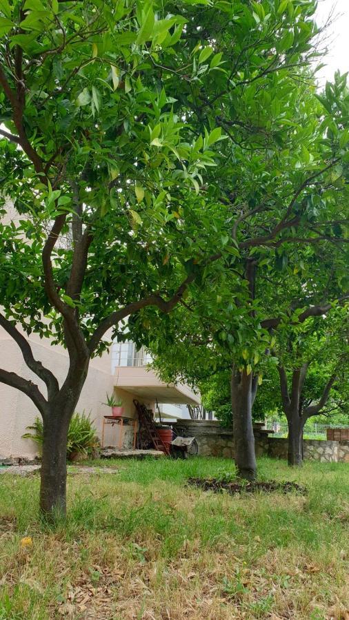 Vila Noga Borş Dış mekan fotoğraf